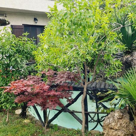 Casa Del Mare Villa Paralia Katerinis Ngoại thất bức ảnh